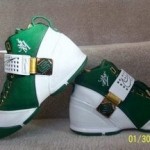 New Nike Zoom LeBron V St. Vincent St. Mary PE