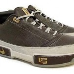 Nike Zoom LeBron Low ST 315837-071