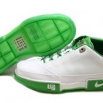Nike Zoom LeBron Low ST white/grass showcase