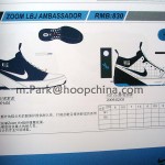 More Information on the Nike Zoom LBJ Ambassador