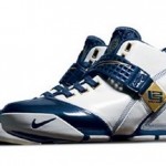 Nike Zoom LeBron V additional information