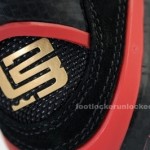 Nike Air Max LeBron VIII Black/White/Red L23 Logo Sample