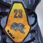 Preview of Possibly Upcoming Nike LeBron XII “Flight”